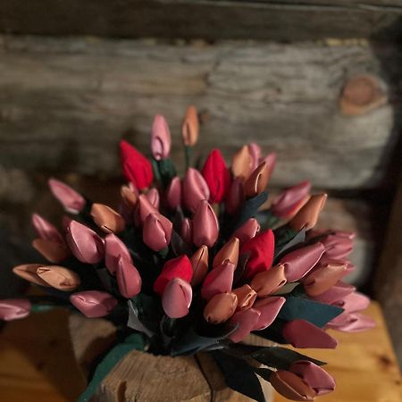 Villa Karhunkehto 洛斯托 外观 照片